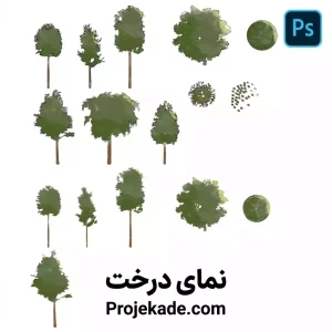 نمای درخت