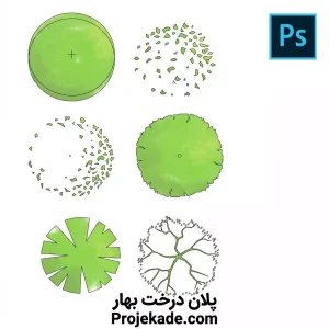 پلان درخت بهار
