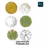 پلان درخت پاییز